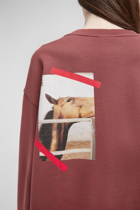 Exclusive Camper AU Sweatshirt Burgundy Sweatshirt With Horse Print